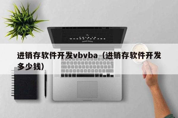 进销存软件开发vbvba（进销存软件开发多少钱）