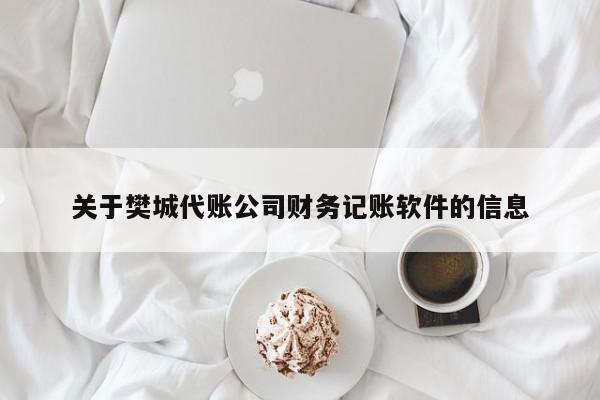 关于樊城代账公司财务记账软件的信息