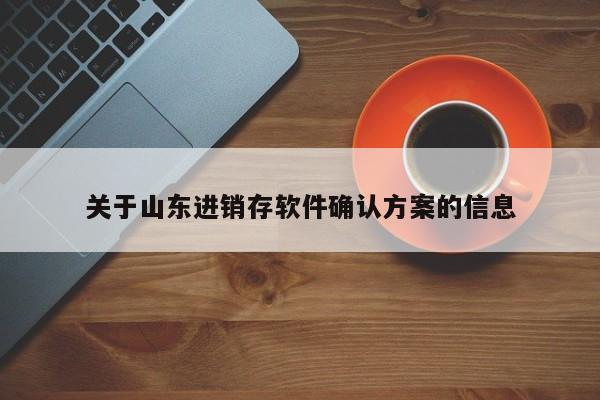 关于山东进销存软件确认方案的信息