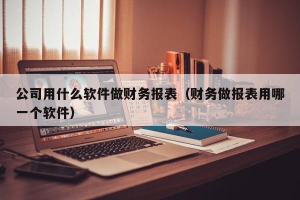 公司用什么软件做财务报表（财务做报表用哪一个软件）