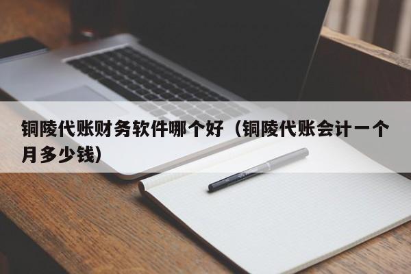 铜陵代账财务软件哪个好（铜陵代账会计一个月多少钱）