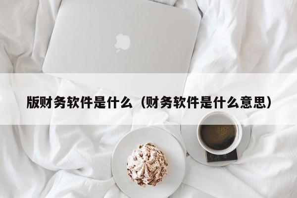 版财务软件是什么（财务软件是什么意思）