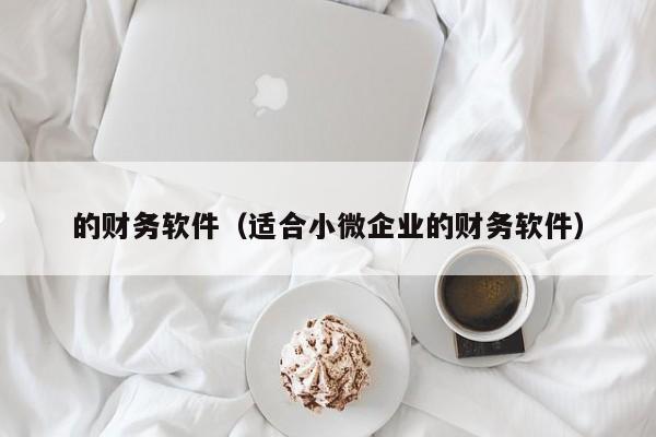 的财务软件（适合小微企业的财务软件）