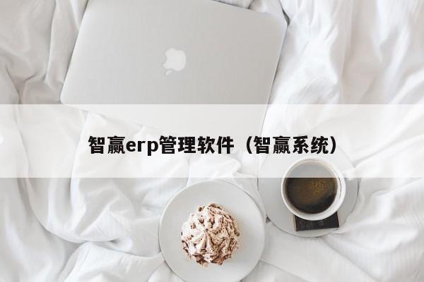 智赢erp管理软件（智赢系统）