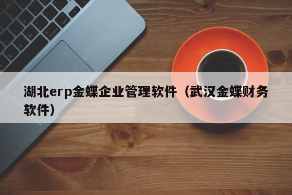 湖北erp金蝶企业管理软件（武汉金蝶财务软件）