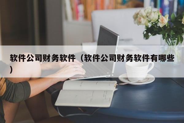 软件公司财务软件（软件公司财务软件有哪些）