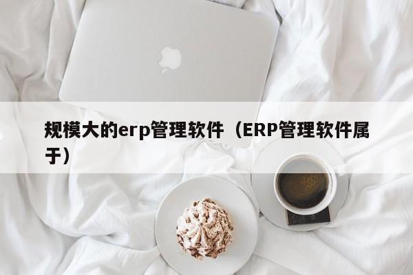 规模大的erp管理软件（ERP管理软件属于）