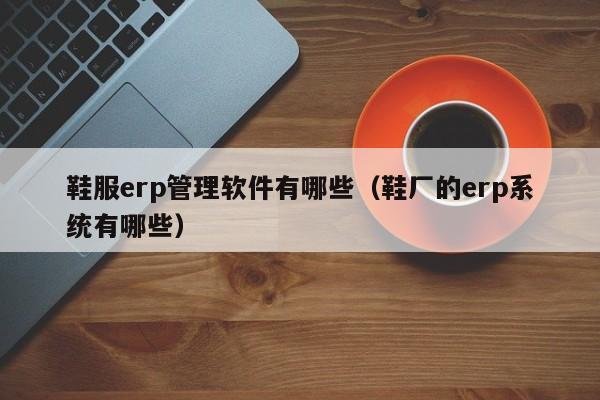 鞋服erp管理软件有哪些（鞋厂的erp系统有哪些）