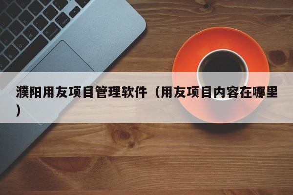 濮阳用友项目管理软件（用友项目内容在哪里）