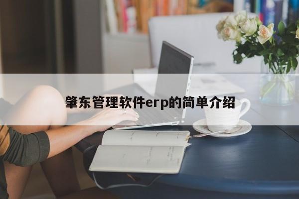 肇东管理软件erp的简单介绍