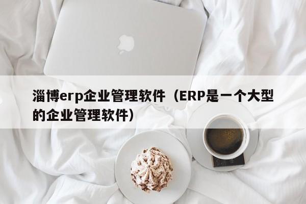 淄博erp企业管理软件（ERP是一个大型的企业管理软件）