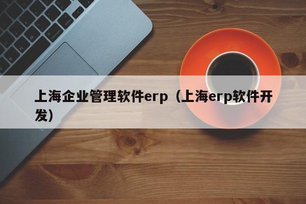 上海企业管理软件erp（上海erp软件开发）