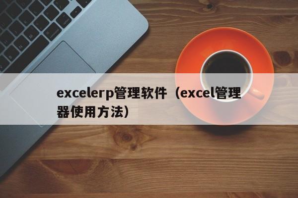 excelerp管理软件（excel管理器使用方法）