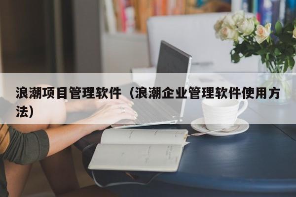 浪潮项目管理软件（浪潮企业管理软件使用方法）