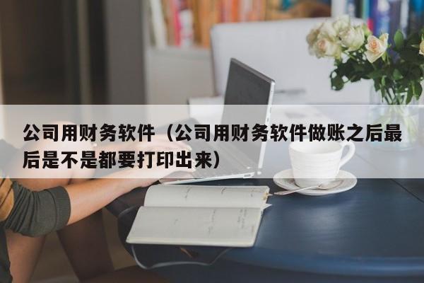 公司用财务软件（公司用财务软件做账之后最后是不是都要打印出来）