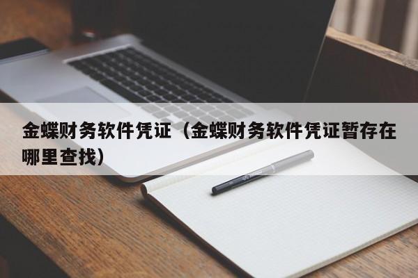 金蝶财务软件凭证（金蝶财务软件凭证暂存在哪里查找）