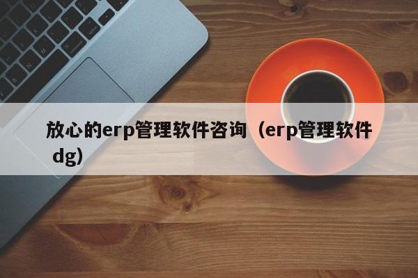 放心的erp管理软件咨询（erp管理软件 dg）