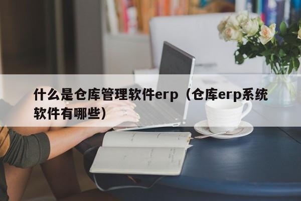 什么是仓库管理软件erp（仓库erp系统软件有哪些）