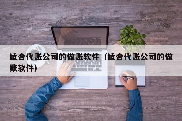 适合代账公司的做账软件（适合代账公司的做账软件）