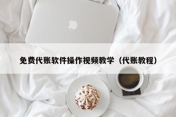 免费代账软件操作视频教学（代账教程）