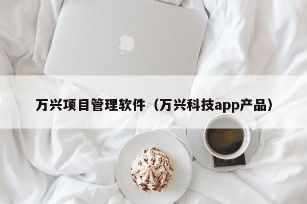 万兴项目管理软件（万兴科技app产品）