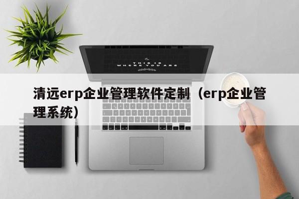 清远erp企业管理软件定制（erp企业管理系统）