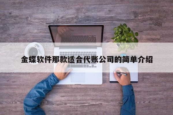 金蝶软件那款适合代账公司的简单介绍