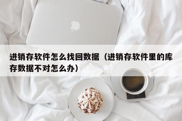 进销存软件怎么找回数据（进销存软件里的库存数据不对怎么办）