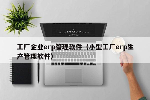 工厂企业erp管理软件（小型工厂erp生产管理软件）