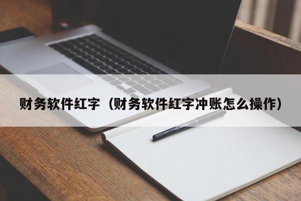 财务软件红字（财务软件红字冲账怎么操作）