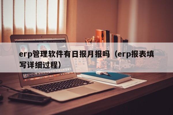 erp管理软件有日报月报吗（erp报表填写详细过程）