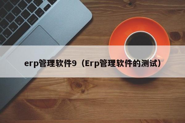 erp管理软件9（Erp管理软件的测试）