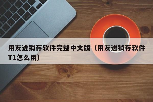 用友进销存软件完整中文版（用友进销存软件T1怎么用）