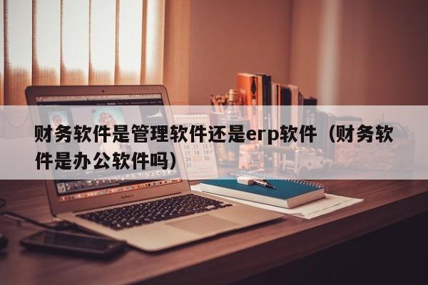 财务软件是管理软件还是erp软件（财务软件是办公软件吗）