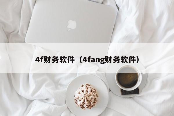 4f财务软件（4fang财务软件）