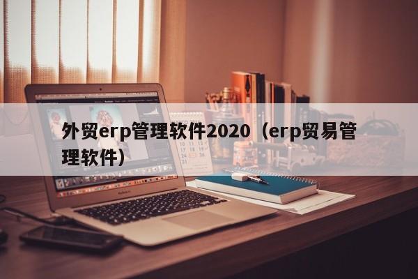 外贸erp管理软件2020（erp贸易管理软件）