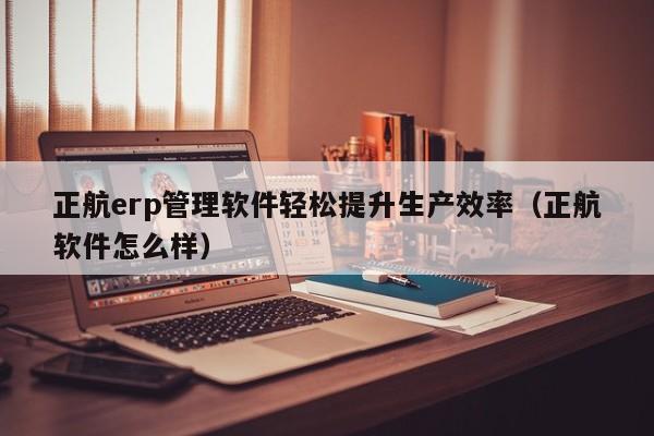 正航erp管理软件轻松提升生产效率（正航软件怎么样）