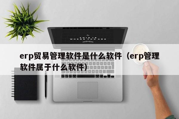 erp贸易管理软件是什么软件（erp管理软件属于什么软件）