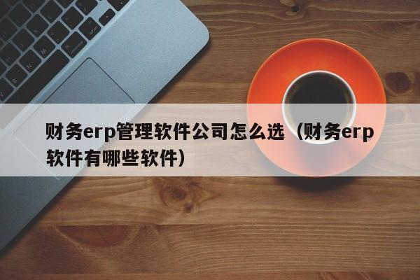 财务erp管理软件公司怎么选（财务erp软件有哪些软件）