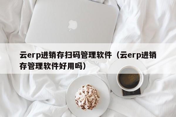 云erp进销存扫码管理软件（云erp进销存管理软件好用吗）