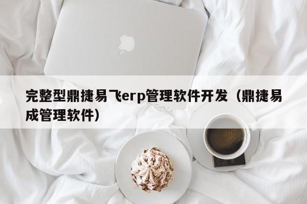 完整型鼎捷易飞erp管理软件开发（鼎捷易成管理软件）