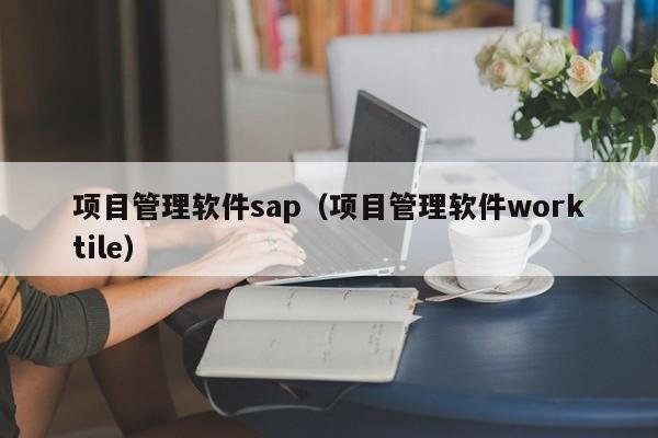 项目管理软件sap（项目管理软件worktile）