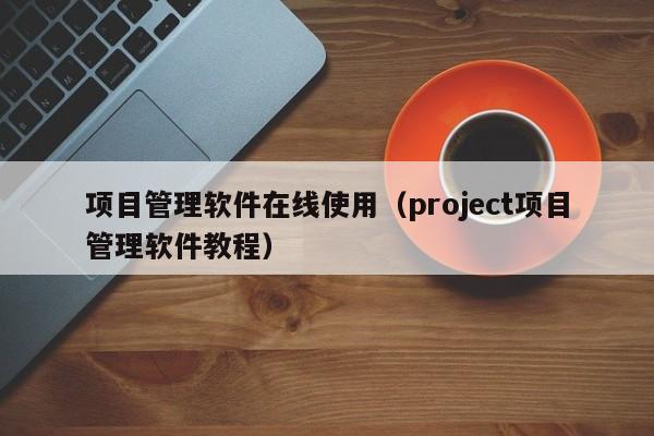 项目管理软件在线使用（project项目管理软件教程）