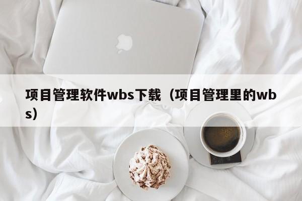 项目管理软件wbs下载（项目管理里的wbs）