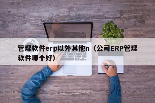 管理软件erp以外其他n（公司ERP管理软件哪个好）