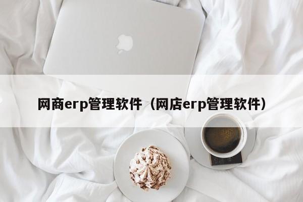 网商erp管理软件（网店erp管理软件）