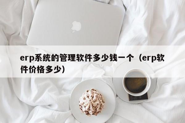 erp系统的管理软件多少钱一个（erp软件价格多少）