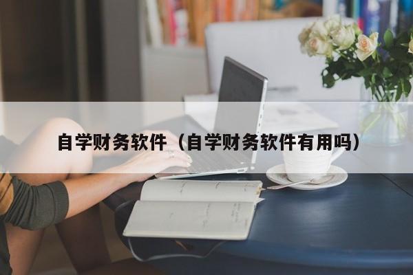 自学财务软件（自学财务软件有用吗）