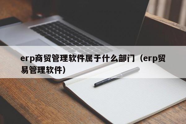 erp商贸管理软件属于什么部门（erp贸易管理软件）