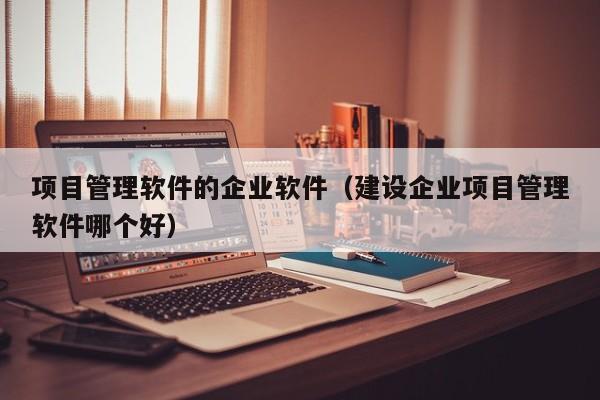 项目管理软件的企业软件（建设企业项目管理软件哪个好）